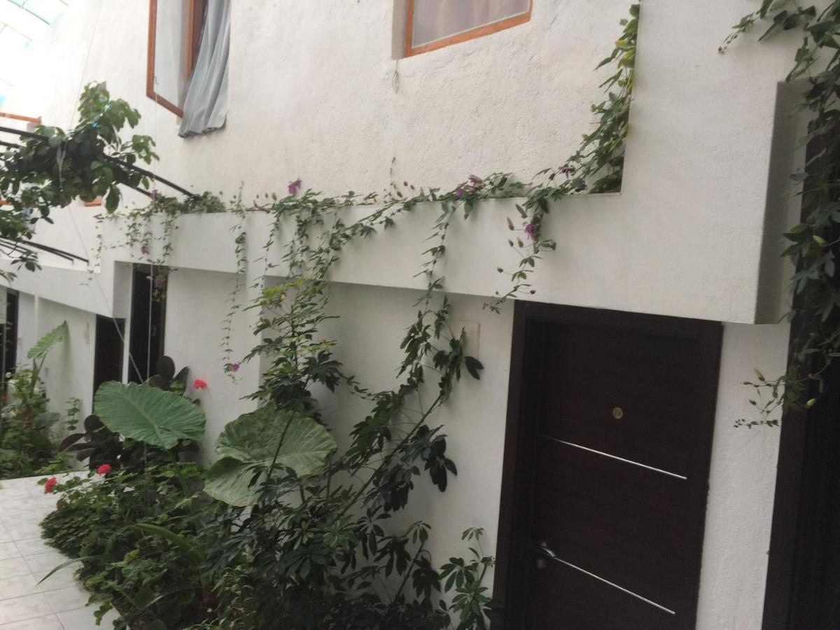 Family Hotel Belvedere Dalgopol Kültér fotó