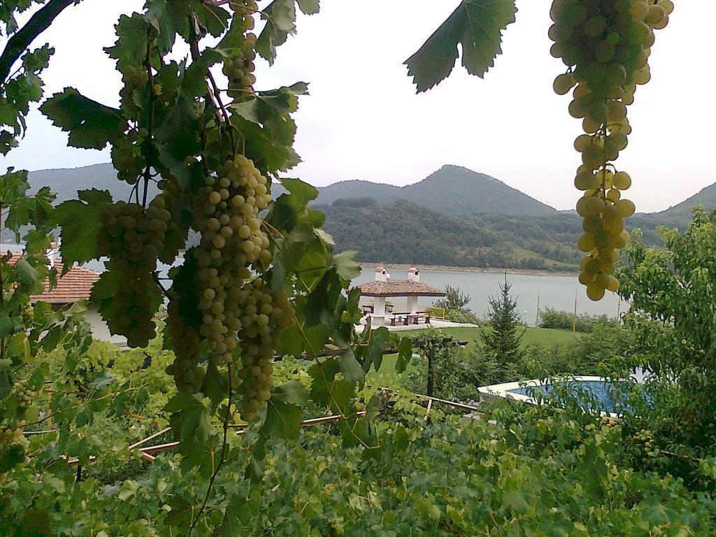 Family Hotel Belvedere Dalgopol Kültér fotó