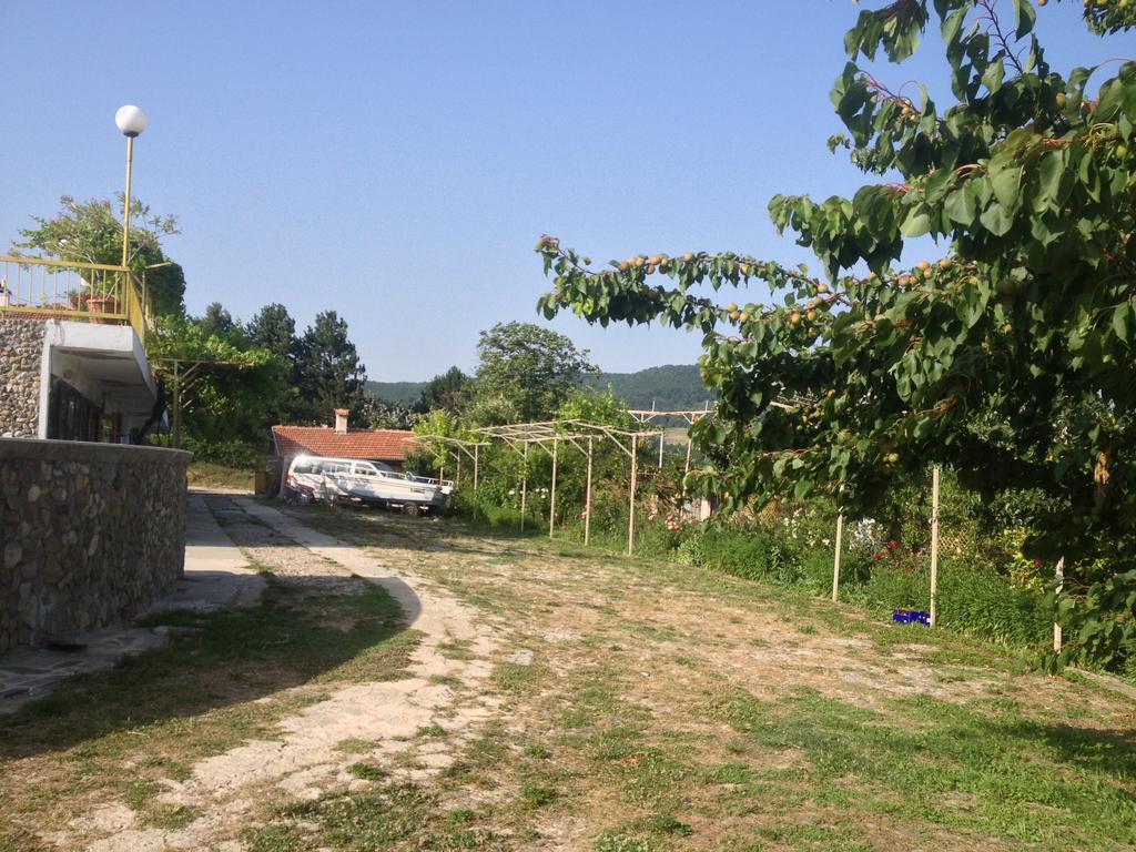 Family Hotel Belvedere Dalgopol Kültér fotó
