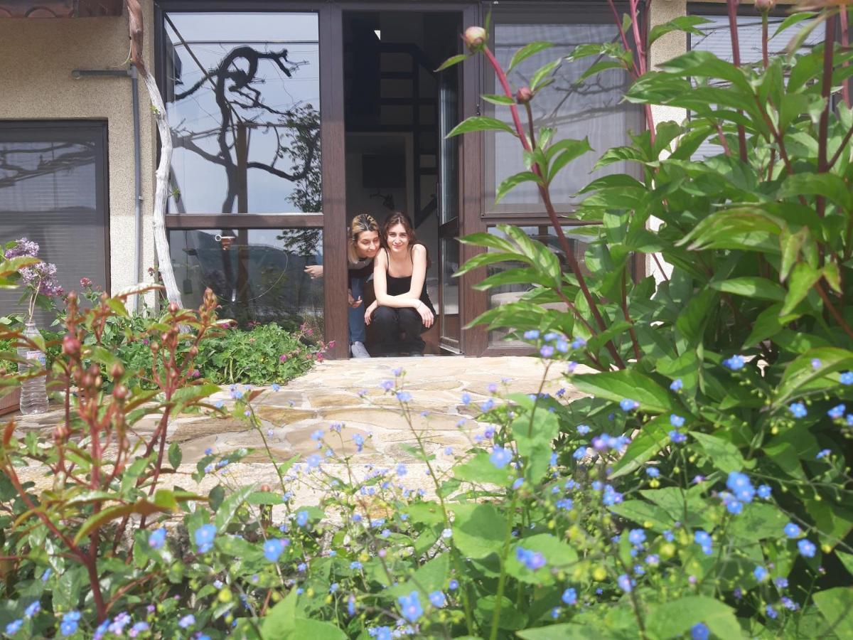 Family Hotel Belvedere Dalgopol Kültér fotó
