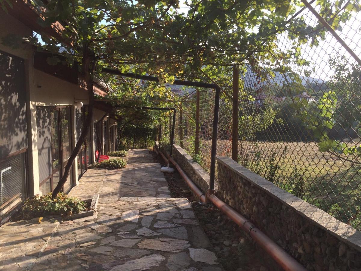 Family Hotel Belvedere Dalgopol Kültér fotó